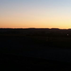 Meet your Posher, Rose